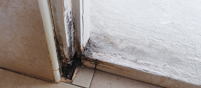 how-to-inspect-your-door-frame-for-damage-and-do-you-need-a-door